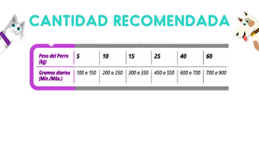 Agility Perro Adultos Mediana y Grande 3 Kg