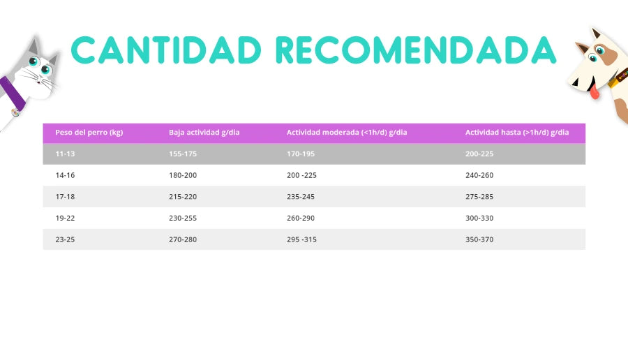 Biofresh Super Premium Perros Senior Raza Mediana 10 Kg