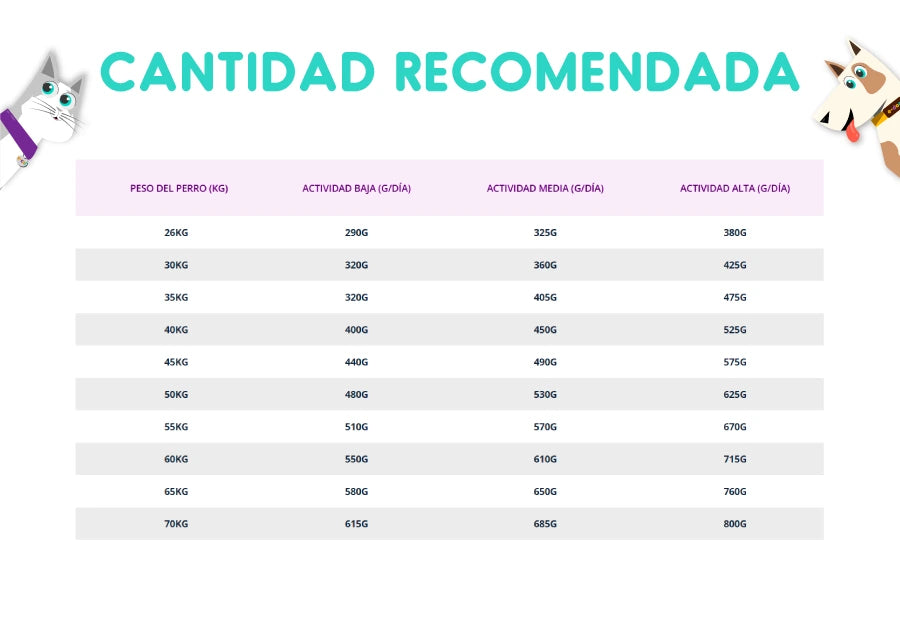 Biofresh Super Premium Perros Senior Raza Grande y Gigante 15 Kg