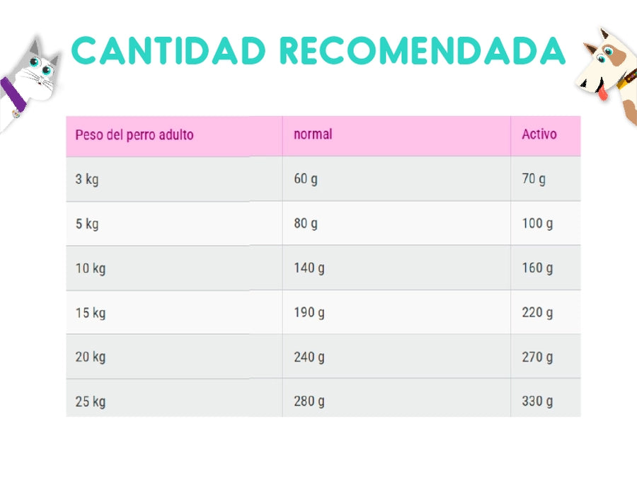 Belcando Finest Gf Salmon 1 Kg