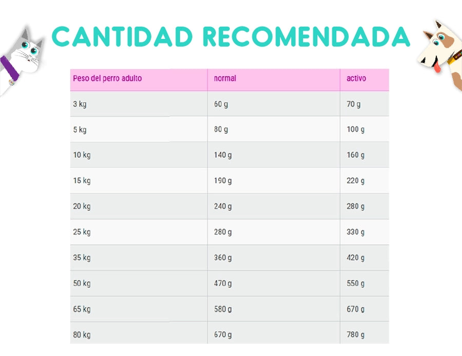 Belcando Adult Gf Ocean 12.5 Kg