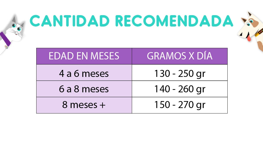 Bokato Cachorro 10 Kg