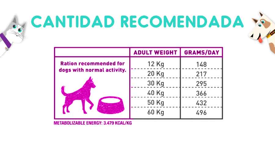 Bravery Herring Senior Large y Medium Breeds 4 Kg