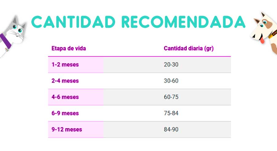 Bravery Salmón Kitten 2 Kg