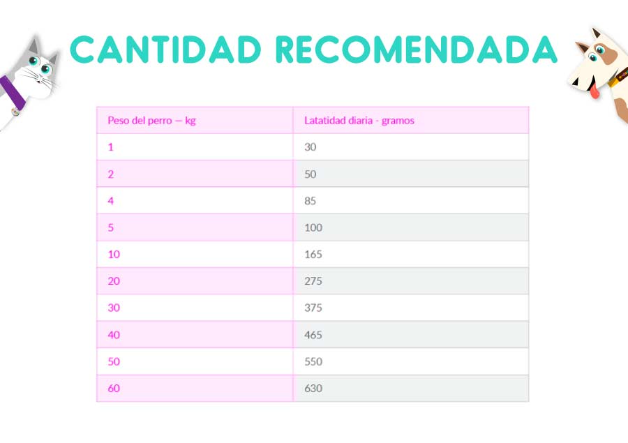 Hills KD Perro Renal Care 7.98 Kg