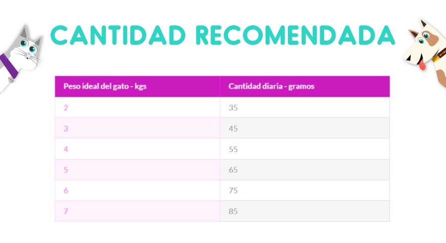 Hills Gato Adulto Indoor 1.59 Kg