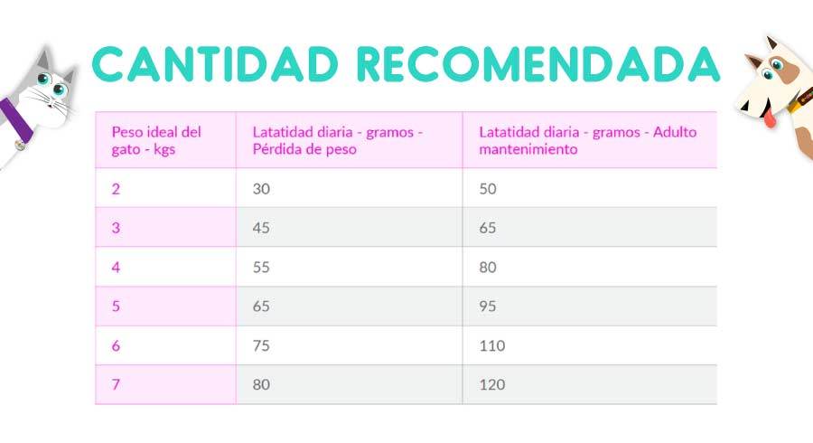 Hills Prescription Diet Feline RD Weight Loss 3.85 Kg