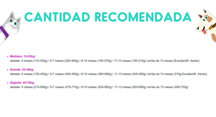 Purina Excellent Puppy Mediana y Grande 12 kg