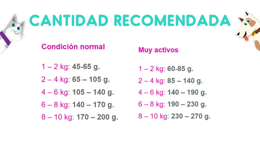 Maintenance Criadores Adulto Raza Pequeña 15 Kg
