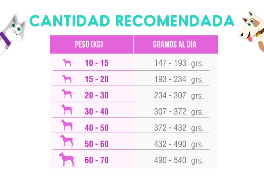 Nomade Perro Senior Raza Mediana y Grande 15 Kg
