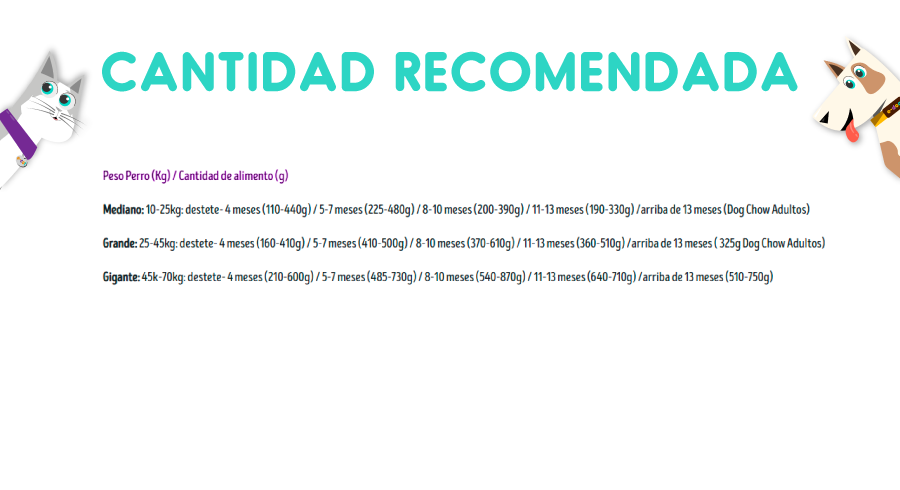 Dog Chow Cachorro Raza Mediana y Grande 24 Kg