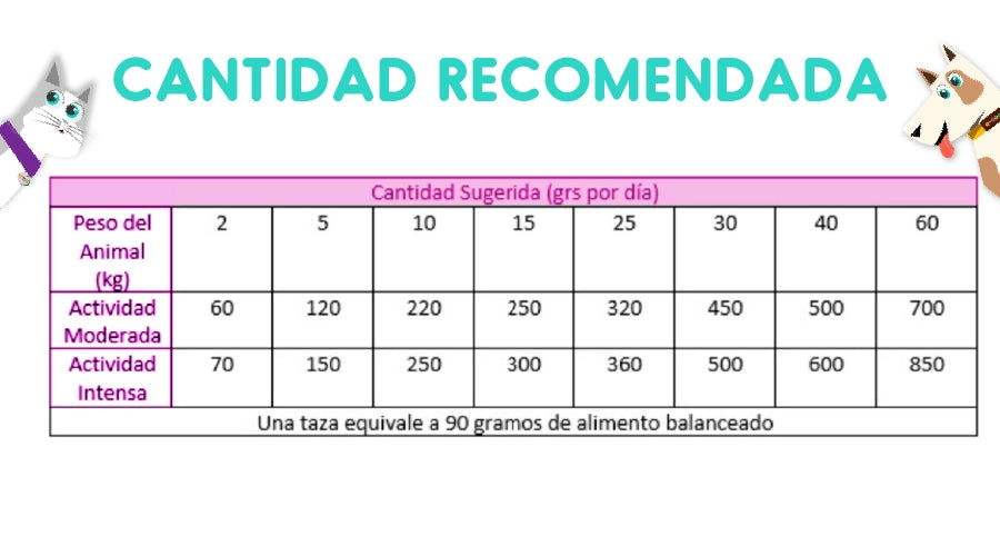 Dog Evolution Adulto 15 Kg