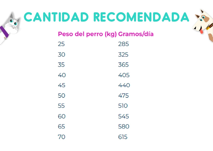 Eukanuba Adult Large Breed 15 Kg