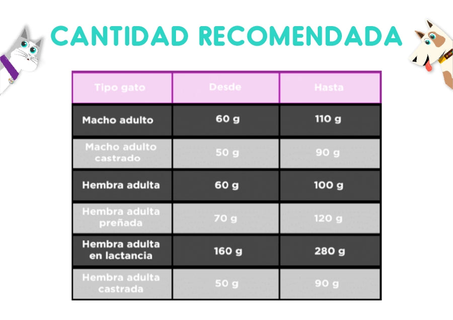 Maintenance Criadores Gato Adulto 15 Kg
