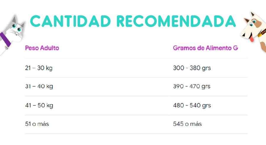 Maintenance Criadores High Pro 22 Kg