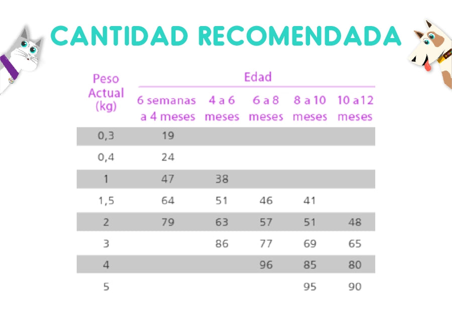 Nutrique Baby Cat y Kitten 2 Kg