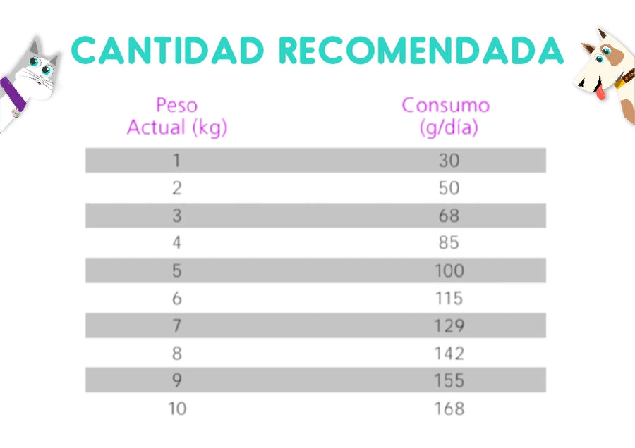 Nutrique Maturetoy y Mini Adult Senior Dog 3 Kg