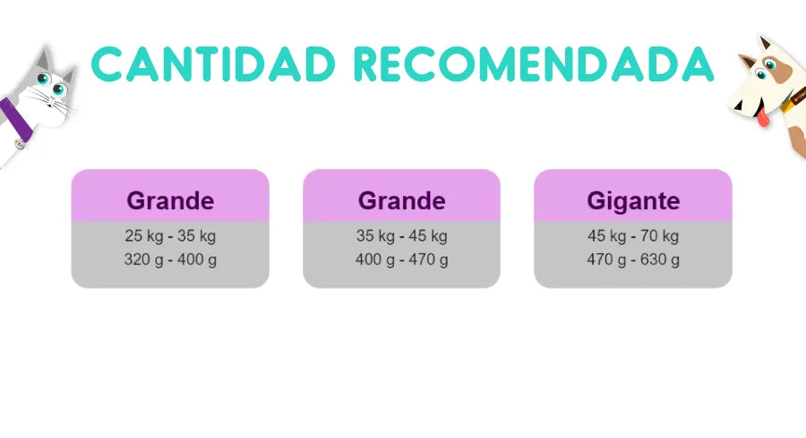 Pro Plan Adulto Raza Grande 12 Kg