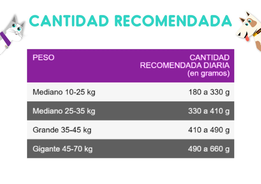 Purina Excellent Adulto Raza Mediana y Grande 8 Kg