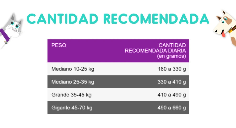 Purina Excellent Adulto Salmón Skin Care 15 Kg