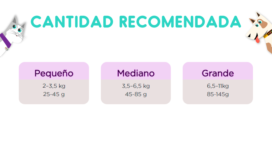 Purina One Gato Salmón 2 Kg