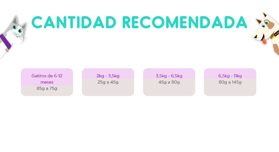 Purina One Esterilizado Salmón 2 Kg