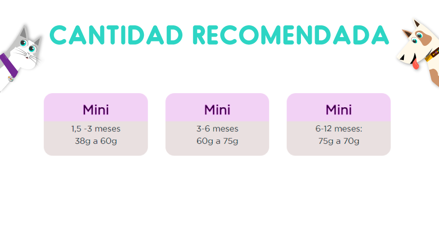 Purina One Gatito 2 Kg