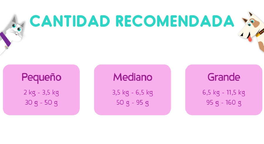 Cat Chow Adulto Hogareños 3 Kg