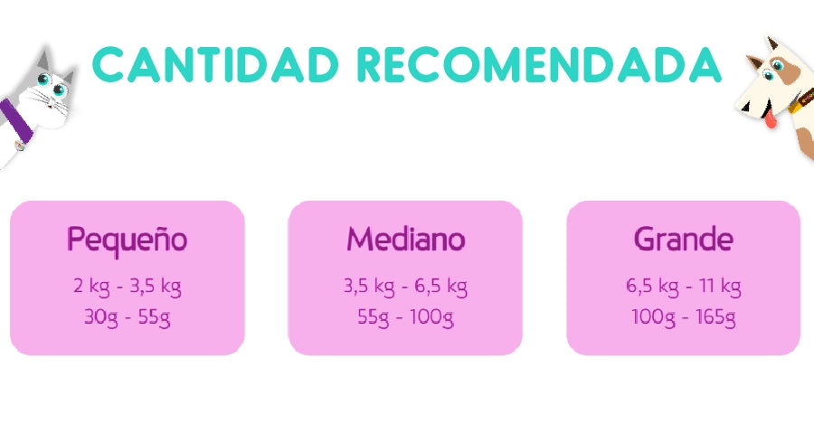 Cat Chow Esterilizado DefensePlus 1 Kg