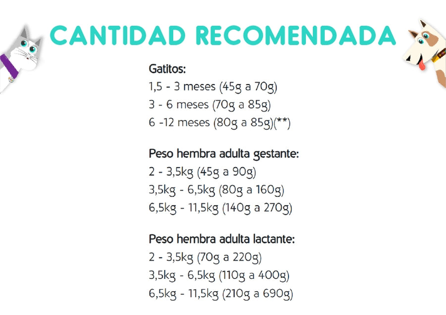 Cat Chow Gatitos 15 Kg