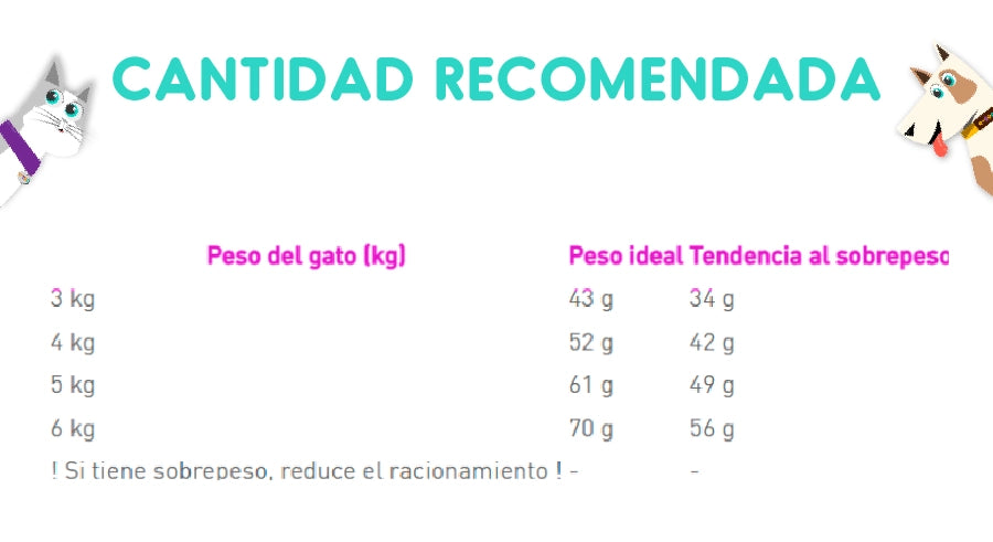 Royal Canin Digestive Care 1.5 Kg