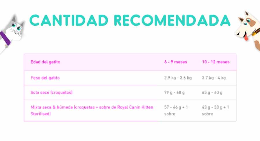 Royal Canin Kitten Sterilised 4 Kg