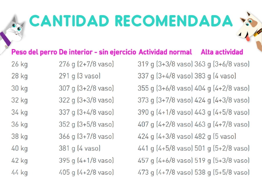 Royal Canin Maxi Adulto 12 Kg