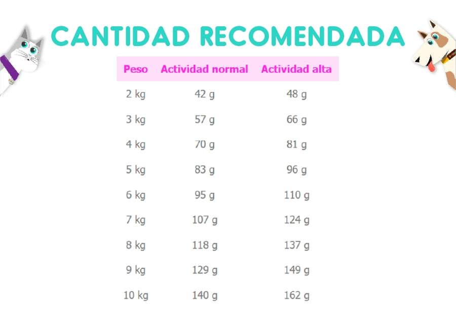 Royal Canin Mini Ageing 3 Kg