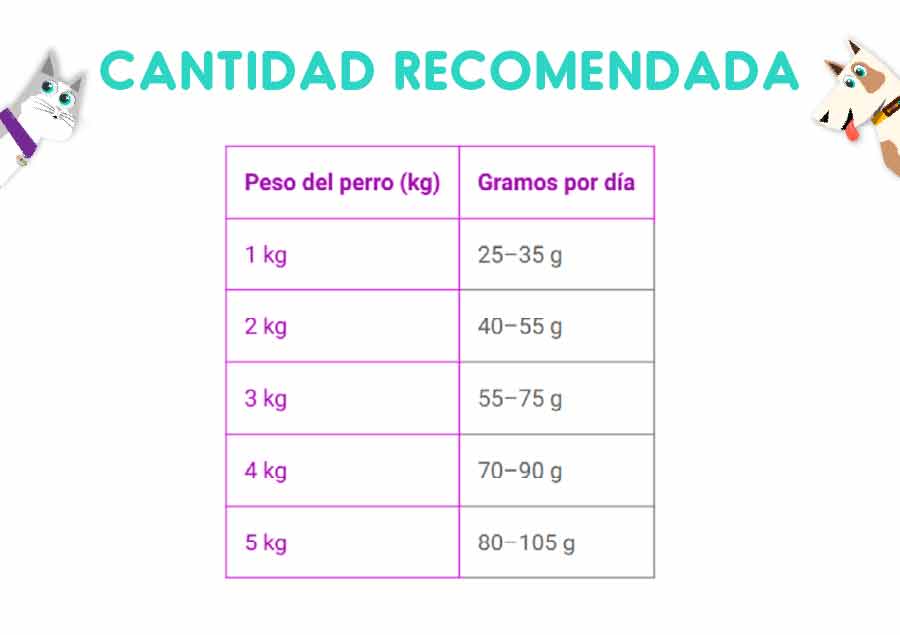 Royal Canin Mini Exigent 3 Kg