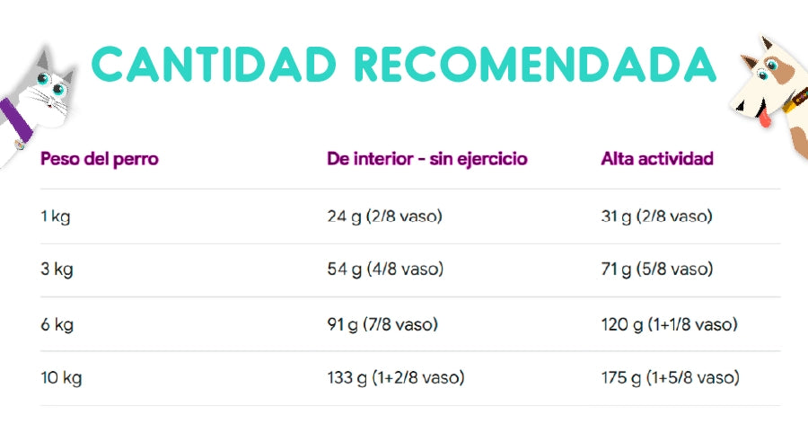 Royal Canin Mini Indoor Adulto 3 Kg