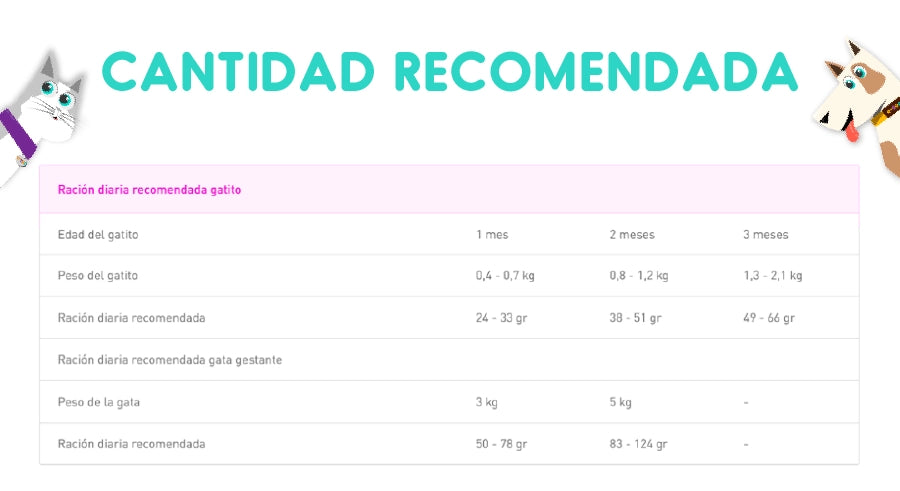 Royal Canin Mother y Babycat 1.5 Kg