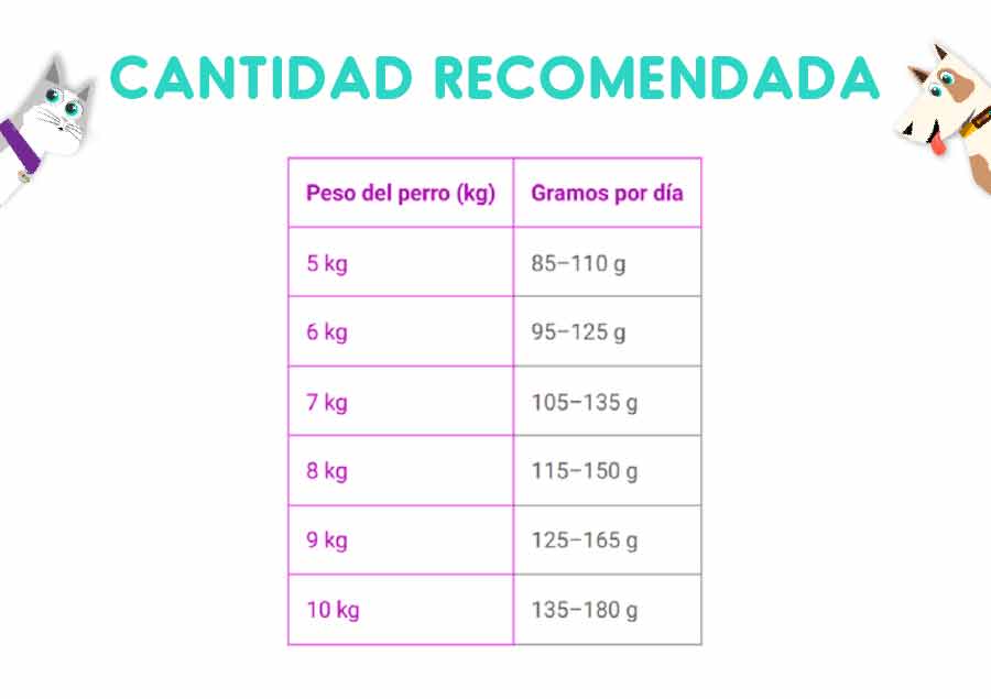 Royal Canin West Highlad White Terrier 3 Kg