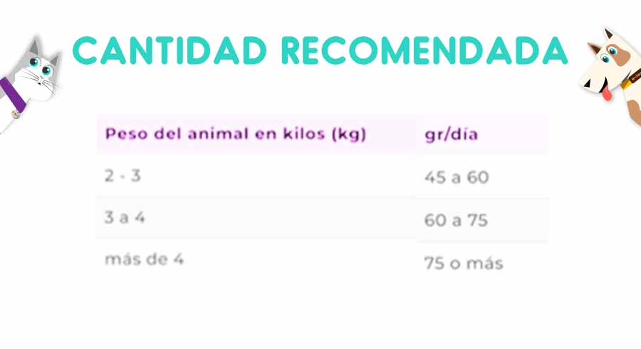 Vitalcan Balanced Gato Natural Recipe Salmón 7.5 Kg