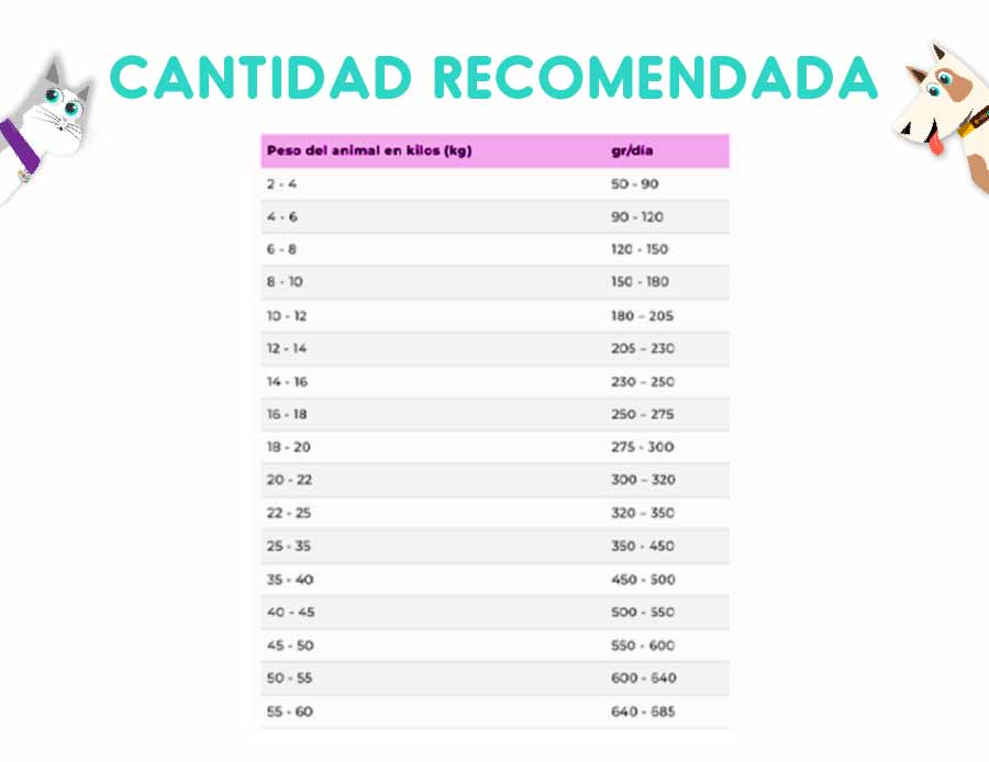 Vitalcan Balanced Perro Recipe Skin Care Sabor Cordero 3 Kg