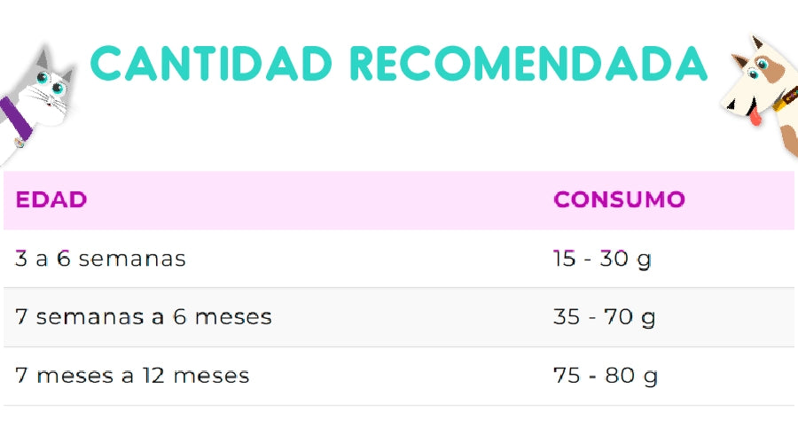 Vitalcan Balanced Gato Kitten 7.5 Kg