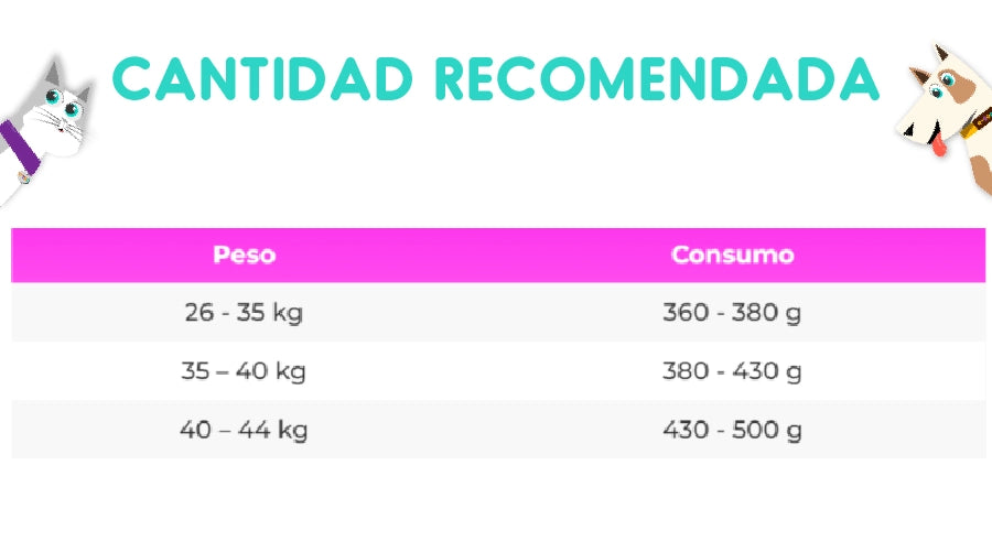 Vitalcan Balanced Perro Adulto Raza Grande 3 Kg