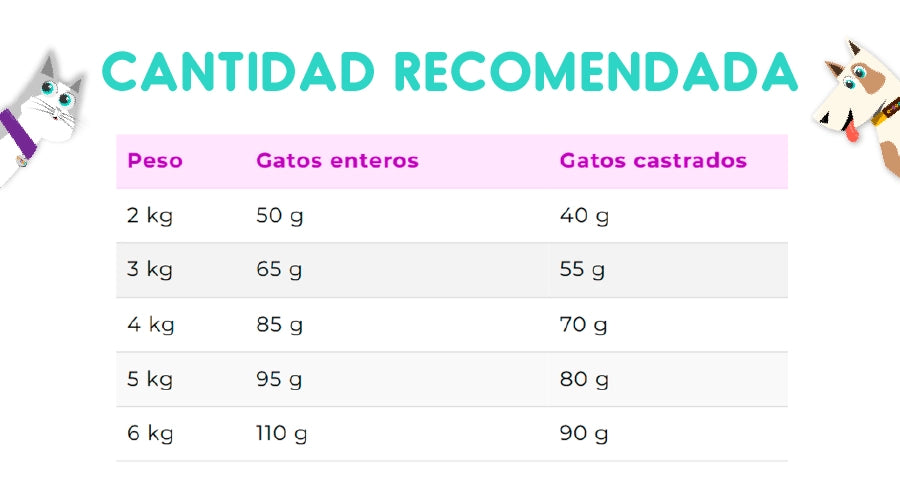 Vitalcan Premium Gato Adulto Pack Ahorro 24 Kg