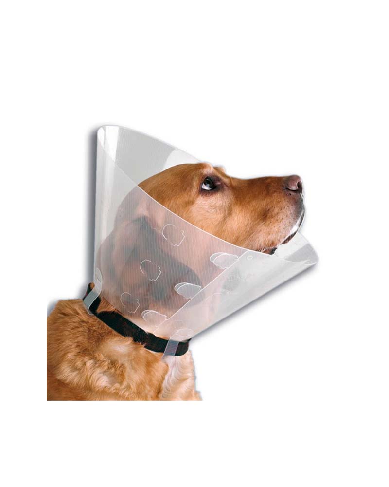 Buster Collar Isabelino Opaco 30
