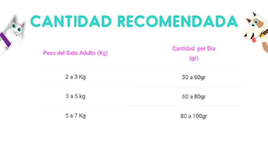 Fit Formula Gato 10 Kg