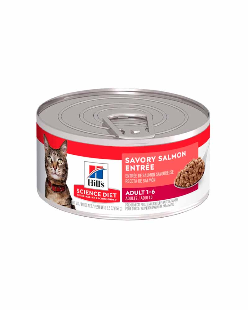 Hills Lata Gato Adulto Savory Salmon Entree 156 Gr