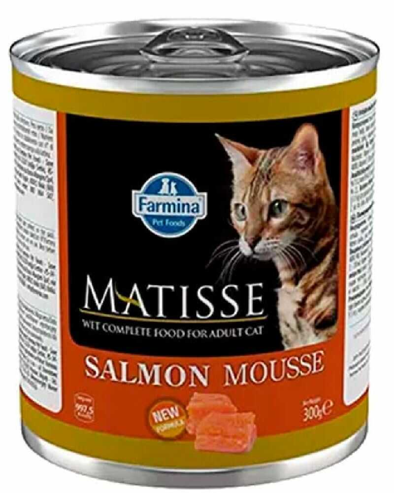 Matisse Cat Mousse Salmon 300 Gr