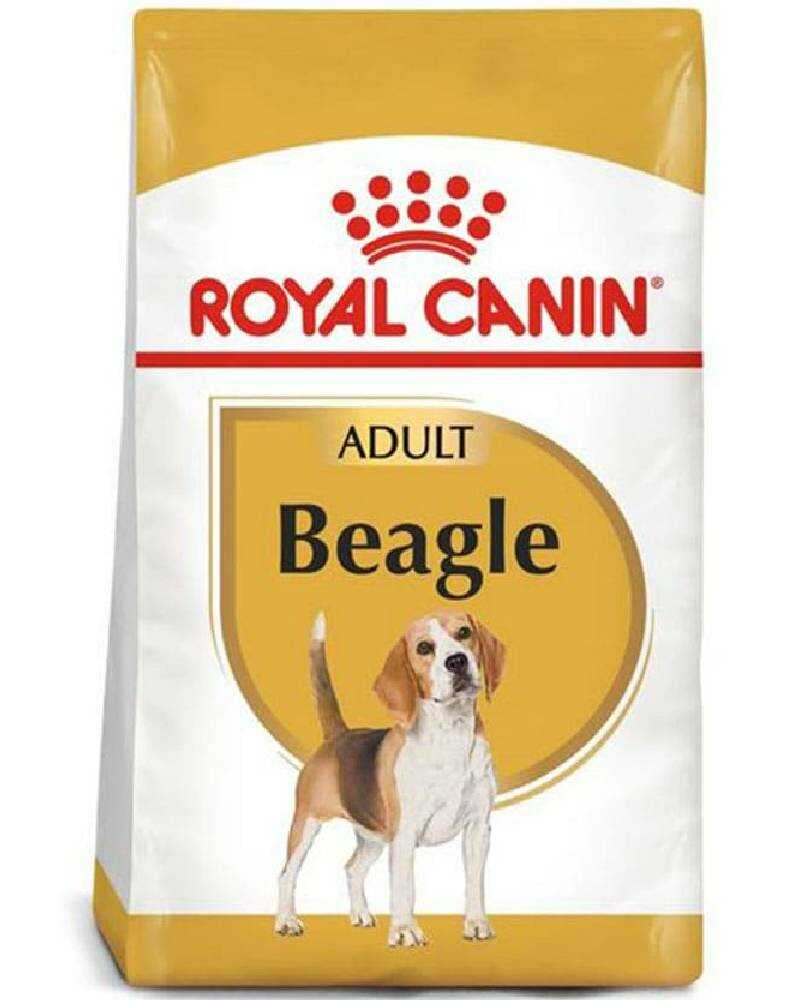 Royal Canin Beagle Adulto 3 Kg