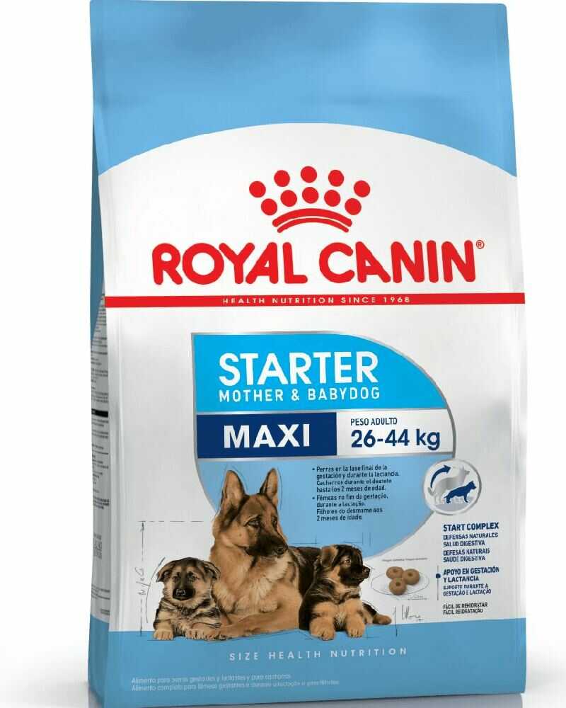 Royal Canin Maxi Starter 10 Kg