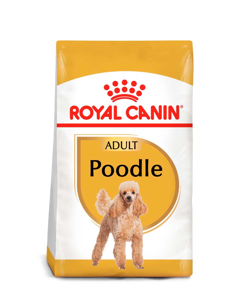 Royal Canin Poodle Adulto 2.5 Kg